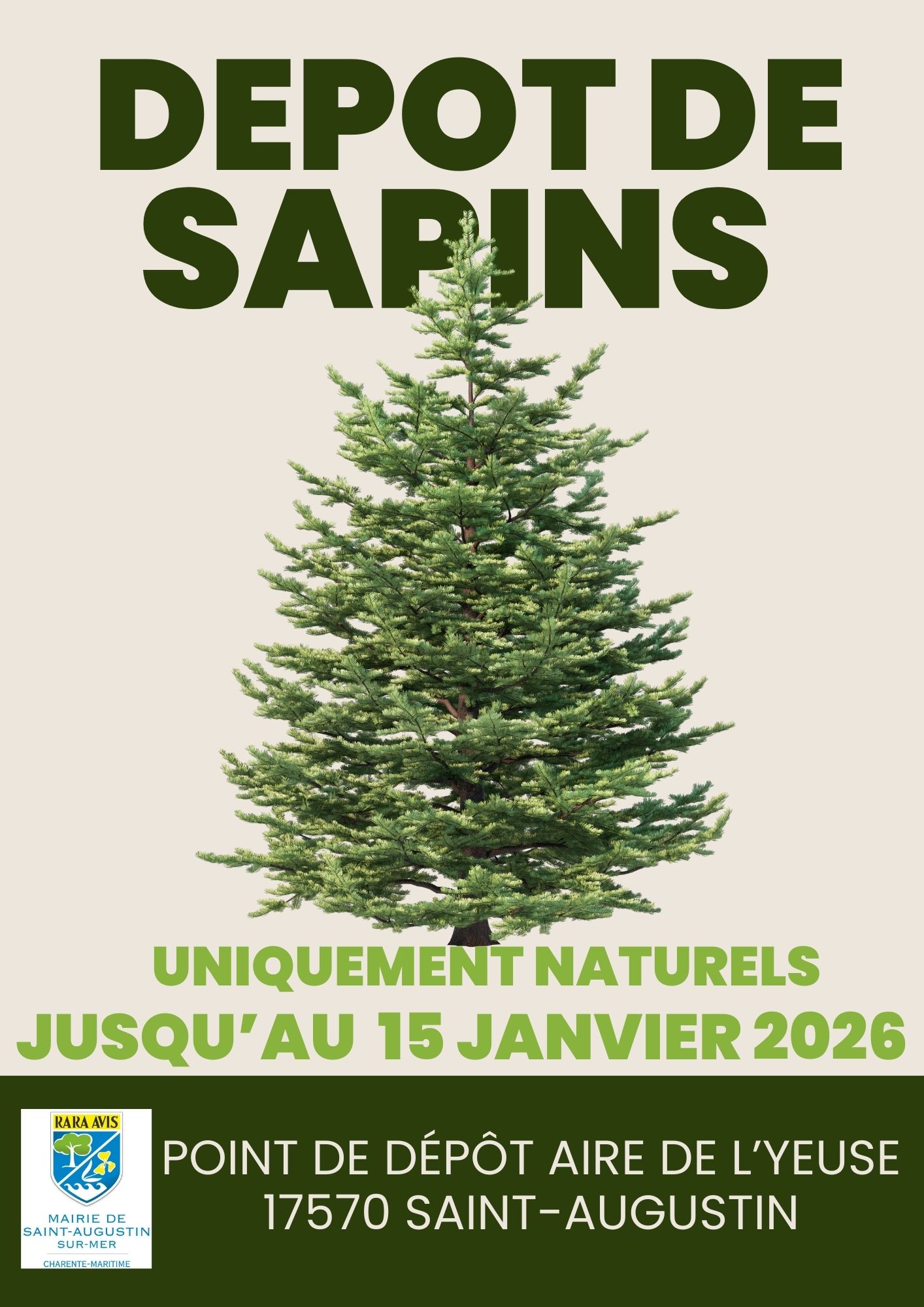 sapins